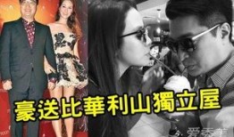 千亿媳妇爆料视频大全在线观看,揭秘娱乐圈幕后真相